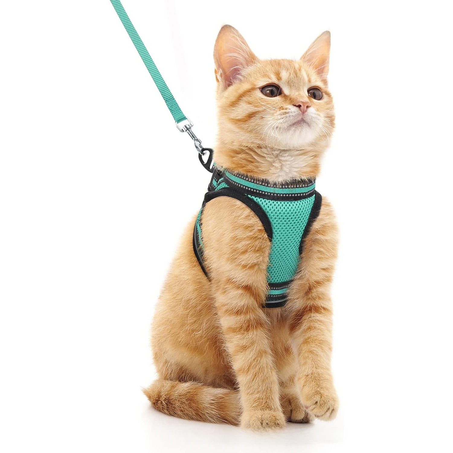 Escape-proof reflective harness and lead set, 2 sizes available