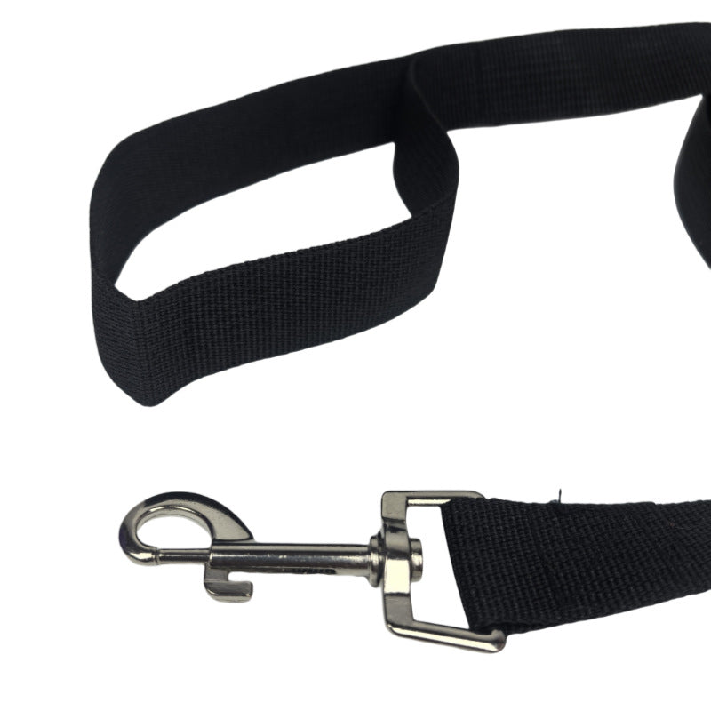 Long nylon dog training lead in red coiled on grass