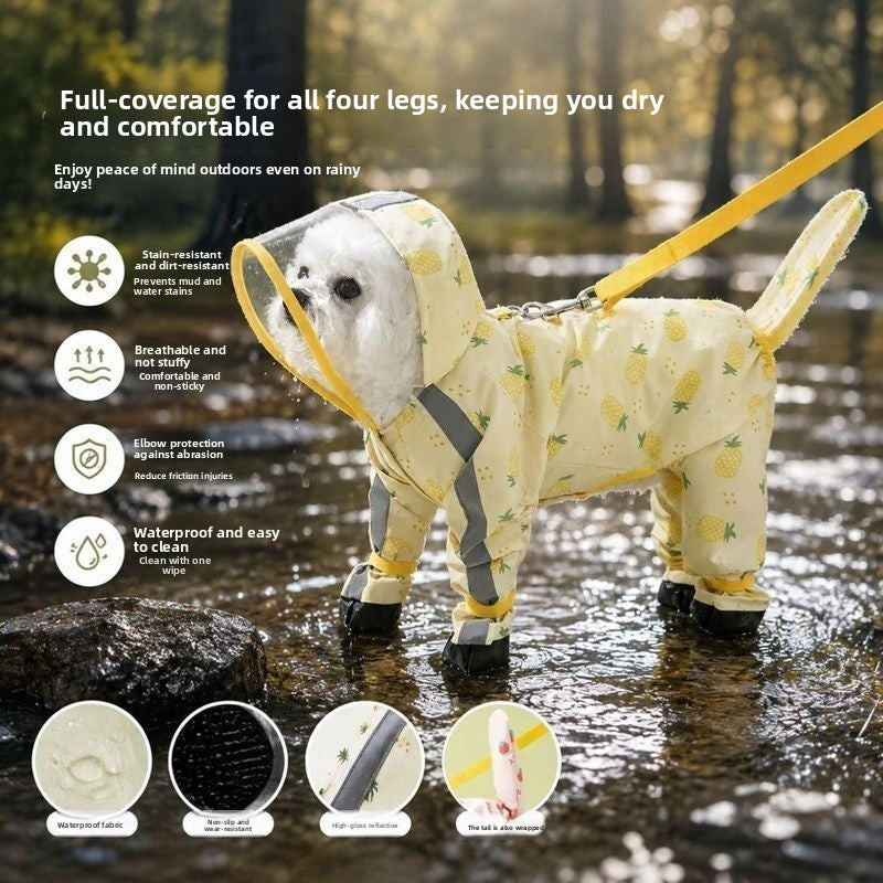Small dog in a yellow pineapple four leg raincoat