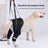 Black dog rear lift support sling with non-slip handles, product image 1
