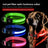 Rechargeable glowing nylon pet collar lit up at night, product image 1