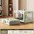 Light green foldable plastic pet travel crate with divider