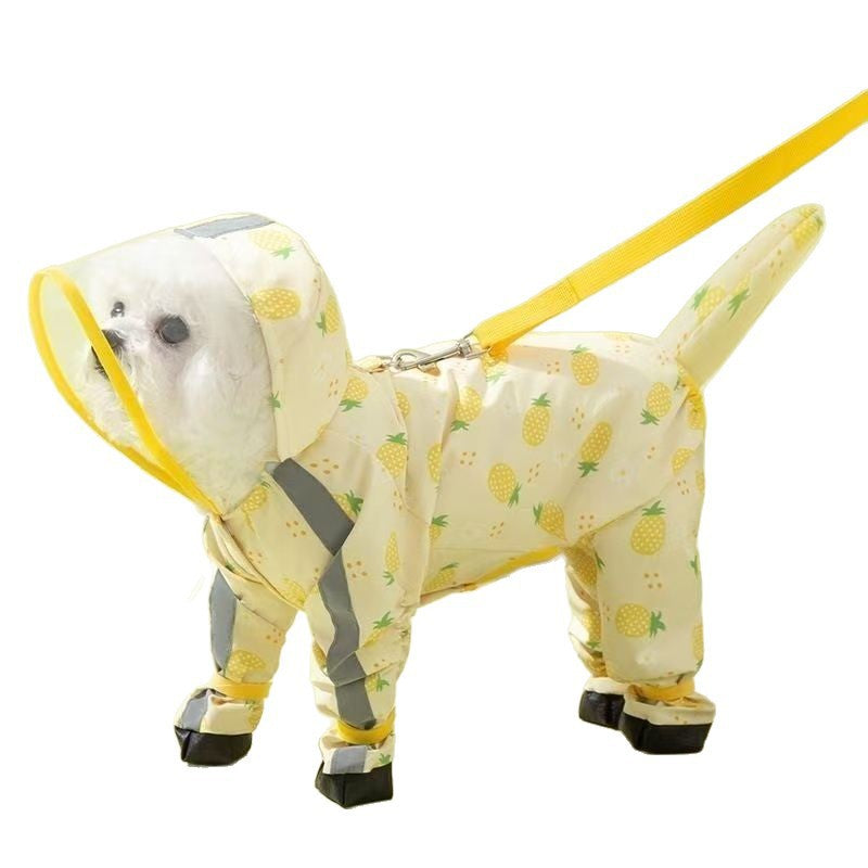 Small dog in a pink strawberry waterproof raincoat