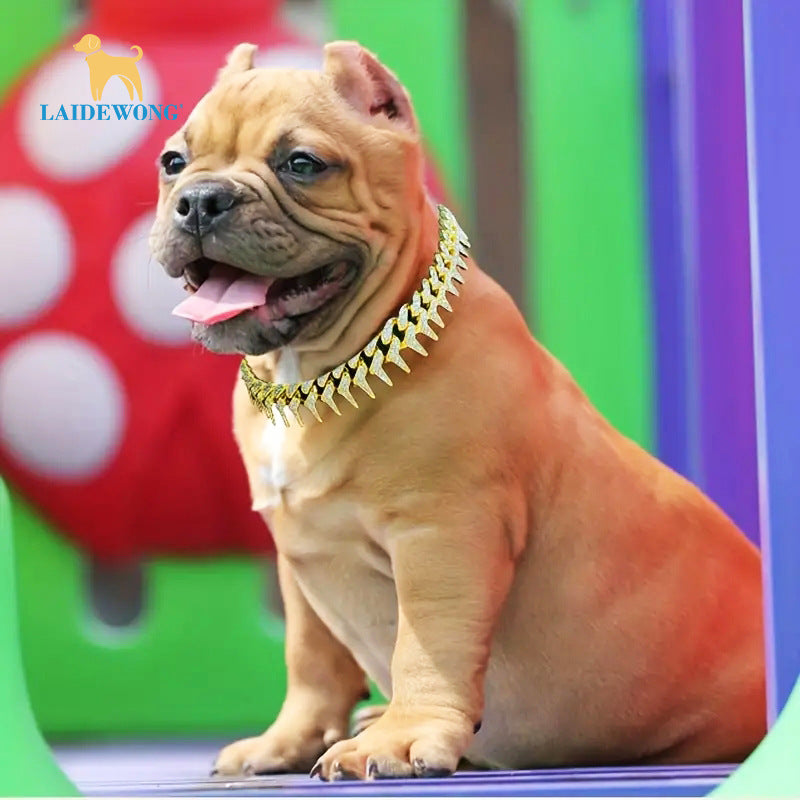Cuban chain dog collar in Silver, in a home setting