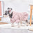 Floral bubble skirt flannel dog dress, available in 2 colours, image 2