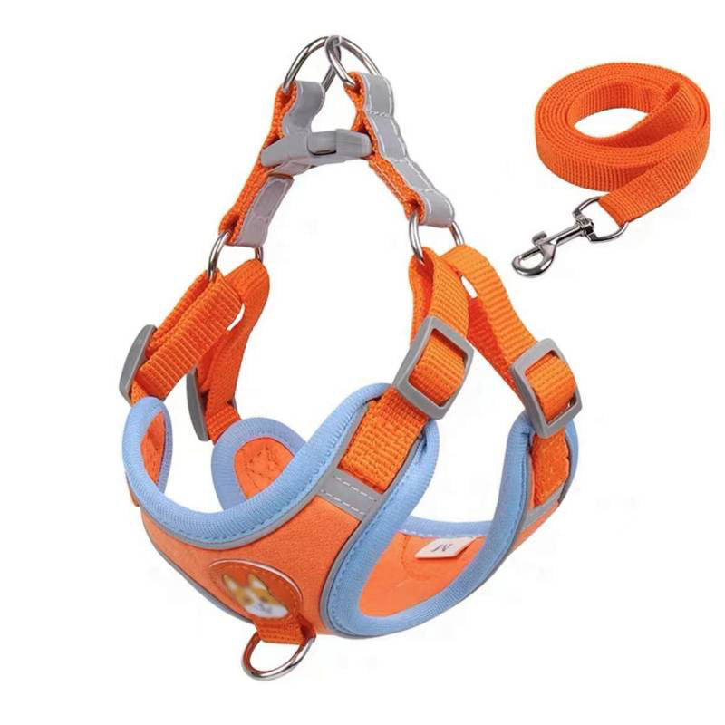 Adjustable nylon vest dog harness with lead, in a home setting