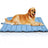 Large double-sided waterproof dog mat for floors, photo 12 of 15