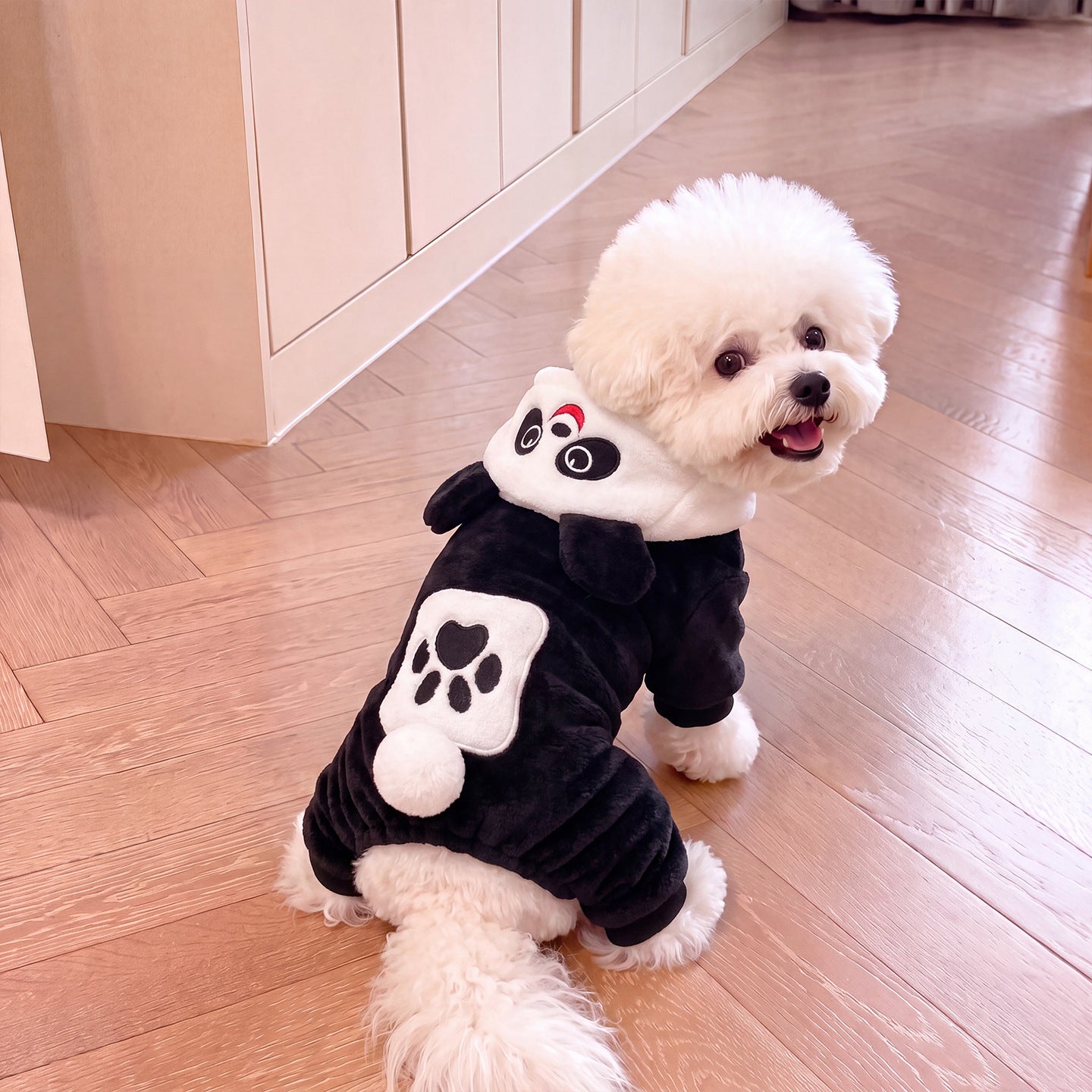 Small dog dressed in a padded black and white panda costume