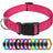 Reflective nylon dog collar, available from Pet Royale UK