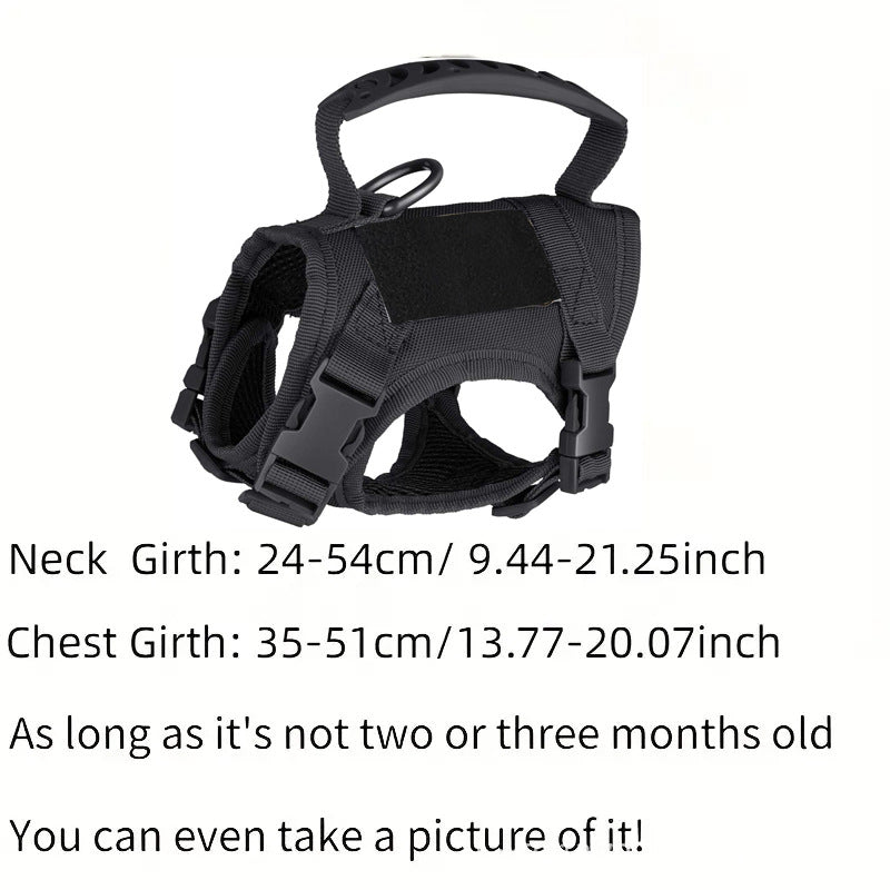 Black tactical cat harness with matching lead and embroidered patches