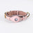 Dog collar and lead sets with tracker holder in five colours