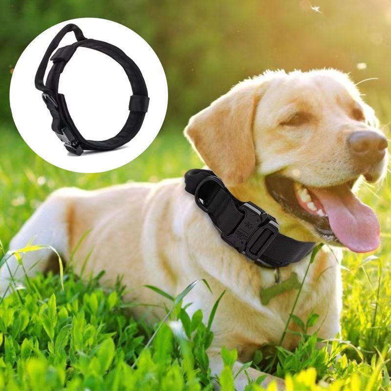 Khaki tactical dog collar and lead set for large dogs