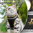 Escape-proof reflective harness and lead set, available from Pet Royale UK