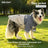 Hooded windproof waterproof dog jackets in lime oatmeal and grey blue