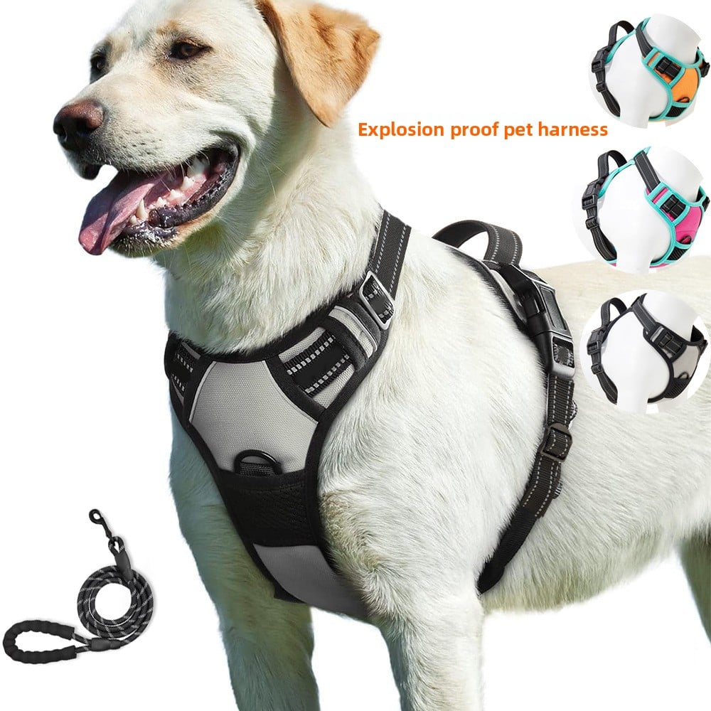 Lightweight nylon outdoor vest for small dogs in Orange, front view