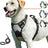 Lightweight nylon outdoor vest for small dogs in Orange, front view