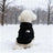 Hooded fleece sweatshirt for small dogs and cats, in a home setting