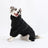 Waterproof windproof raincoat for large dogs, available in 3 colours, image 21