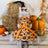 Halloween and Christmas pet dress for dogs and cats, close-up detail