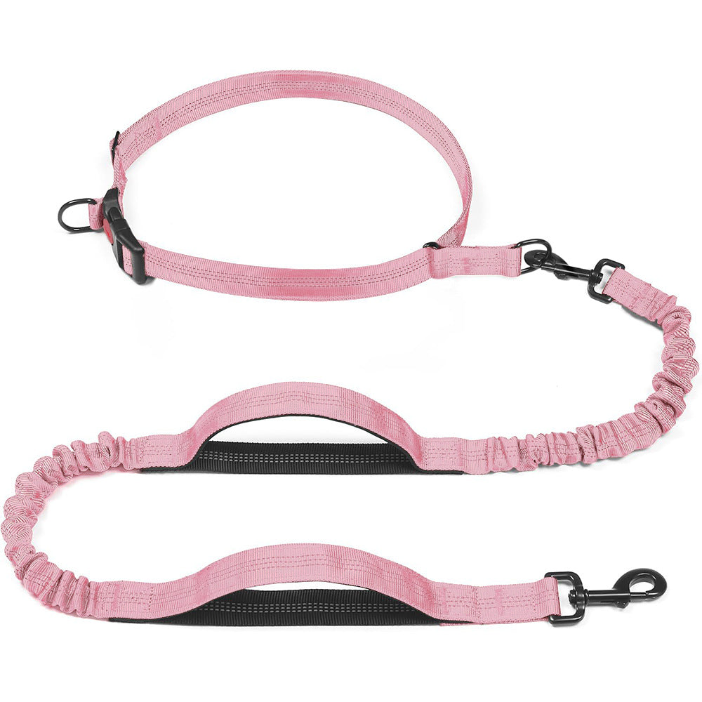Reflective nylon bungee lead with two handles in sky blue