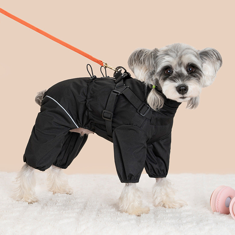 Dog wearing a red windproof four leg coat outdoors