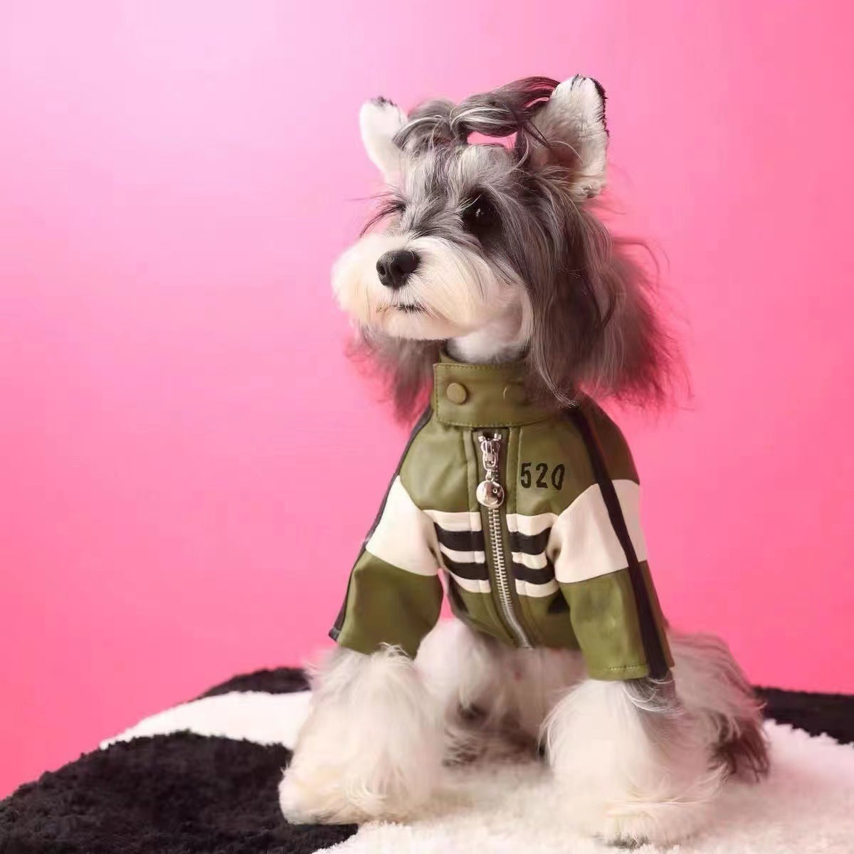 PU biker jacket for small dogs, available in 2 colours, image 8