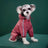 Hooded reflective four leg dog raincoats in four bright colours