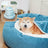 Shell shaped plush pet bed with attached blanket, main product photo