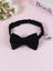 Striped cat collar with velvet bow, close-up detail view