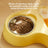 Two-in-One Cat Food and Water Bowl with Optional Stainless Steel Insert
