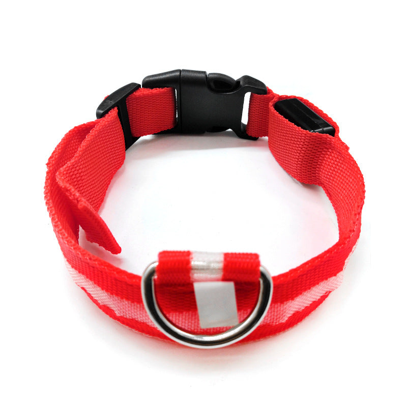 Light up LED dog collar glowing red with reflective strip
