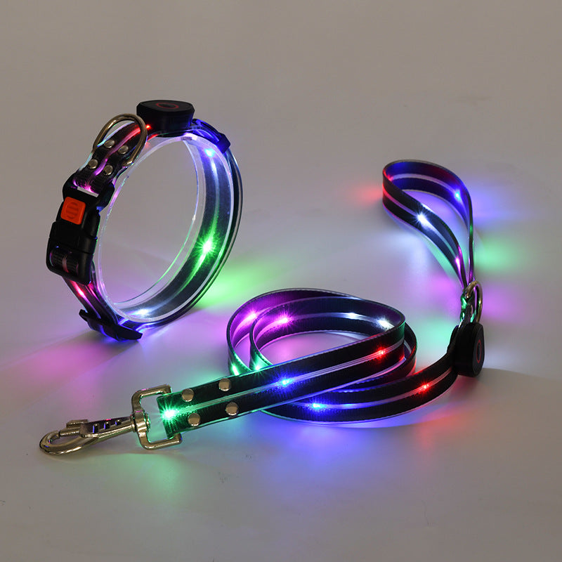 USB rechargeable LED dog collar and lead, in a home setting