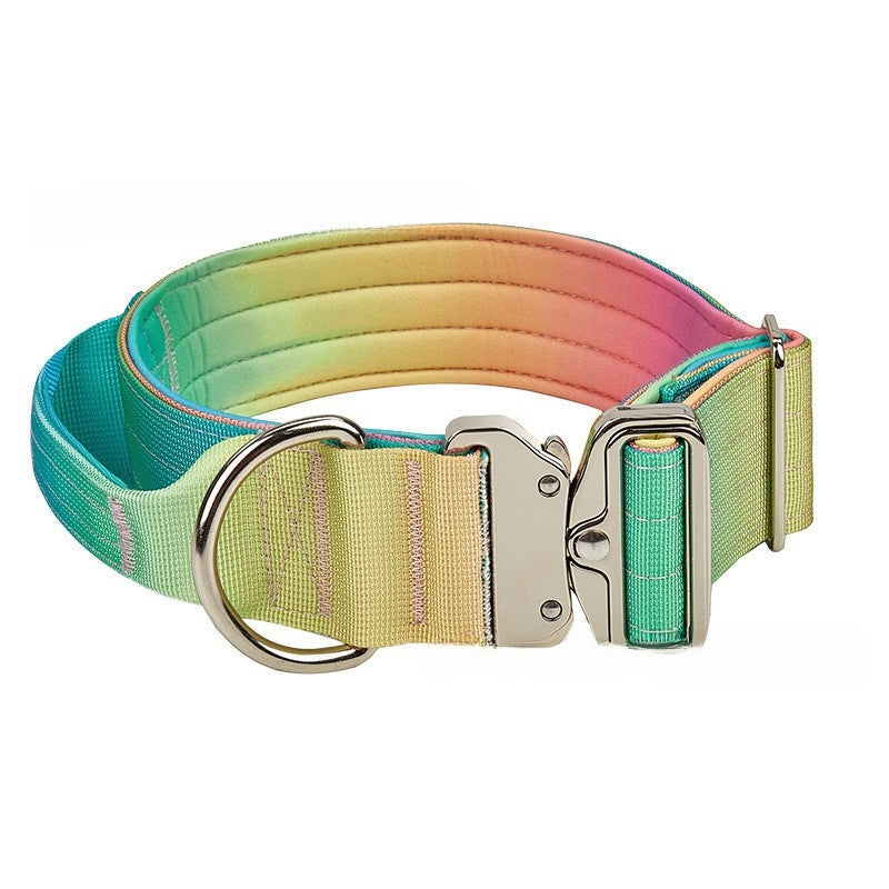 Gradient colour no pull dog harness with matching lead