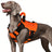 Tactical Oxford cloth dog harness vest in army green, product image 22