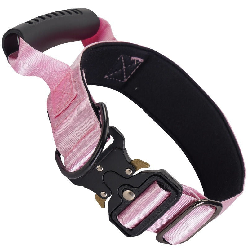 Adjustable nylon dog collar, ideal for everyday use