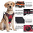 Bright reflective vest dog harness with adjustable straps in orange, view 2