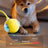 Rechargeable silicone dog ball in green - view 3