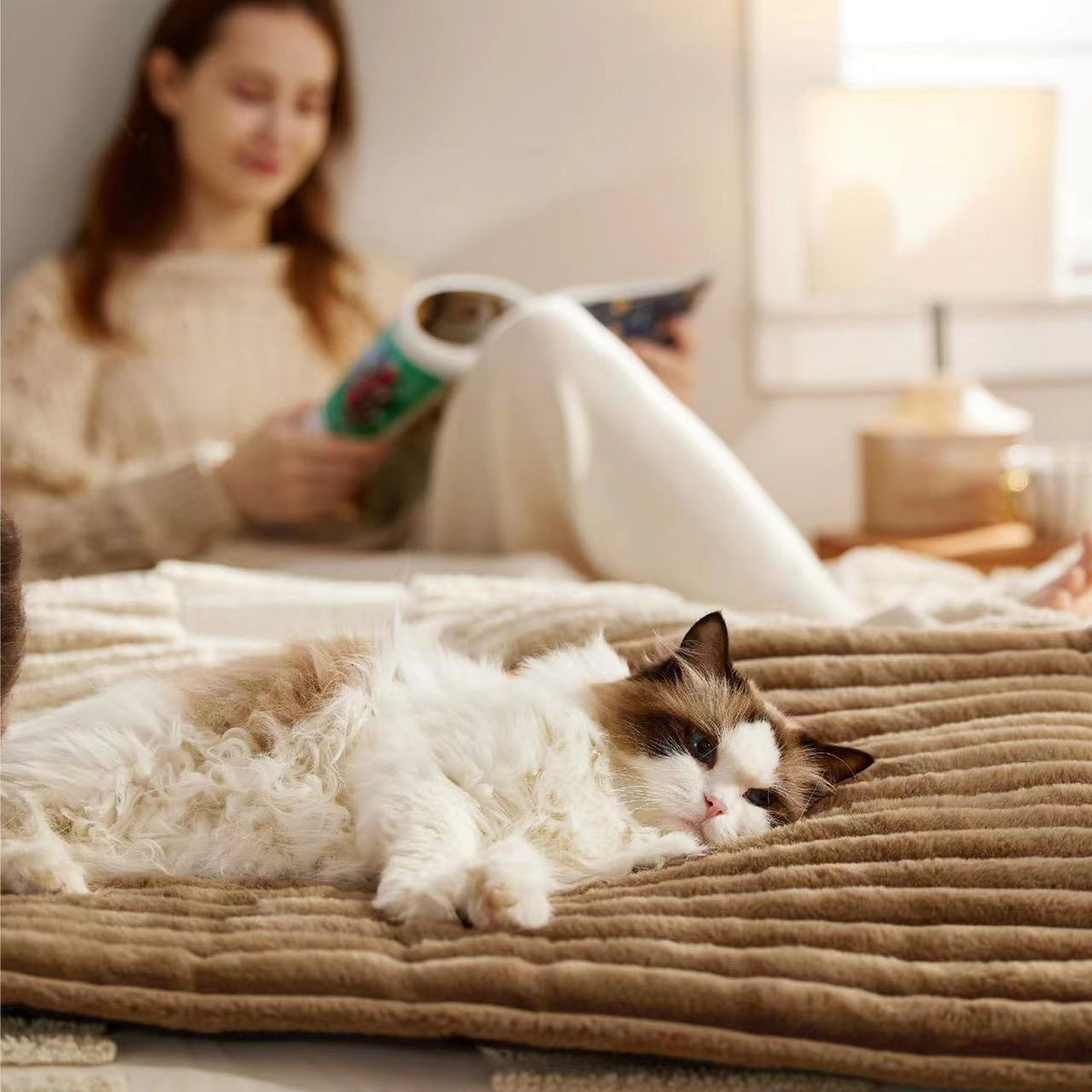 Velvet Pet Kennel Bed for Winter, Soft Plush Dogs and Cats