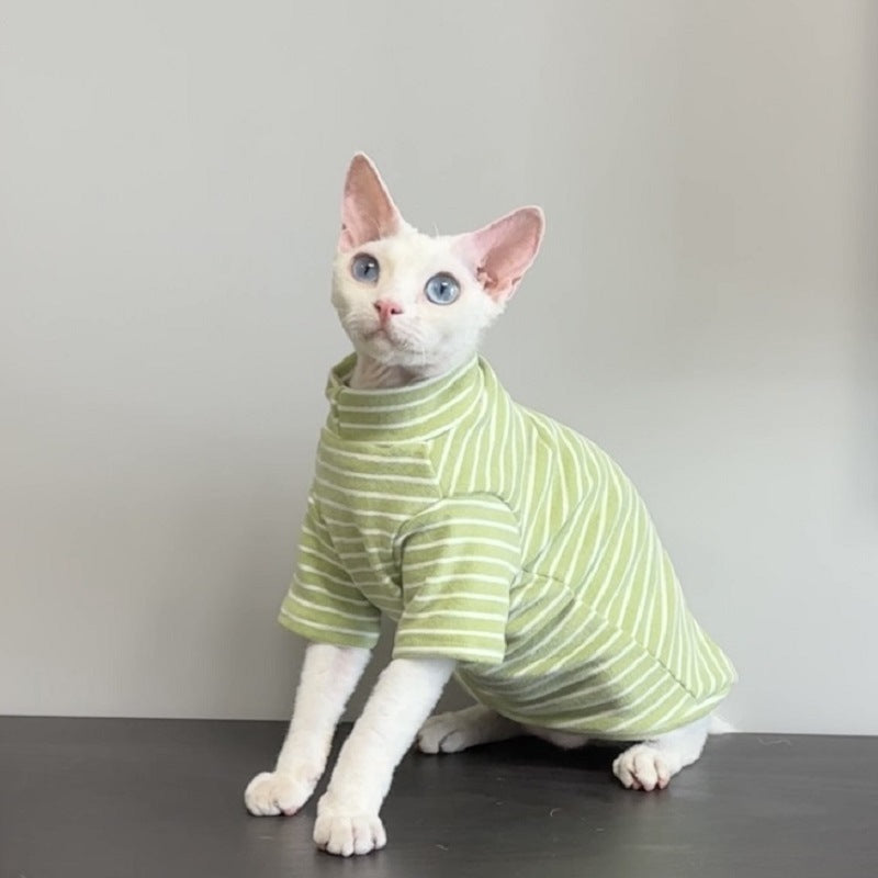 Warm cat jumpers for hairless breeds in black, green and purple