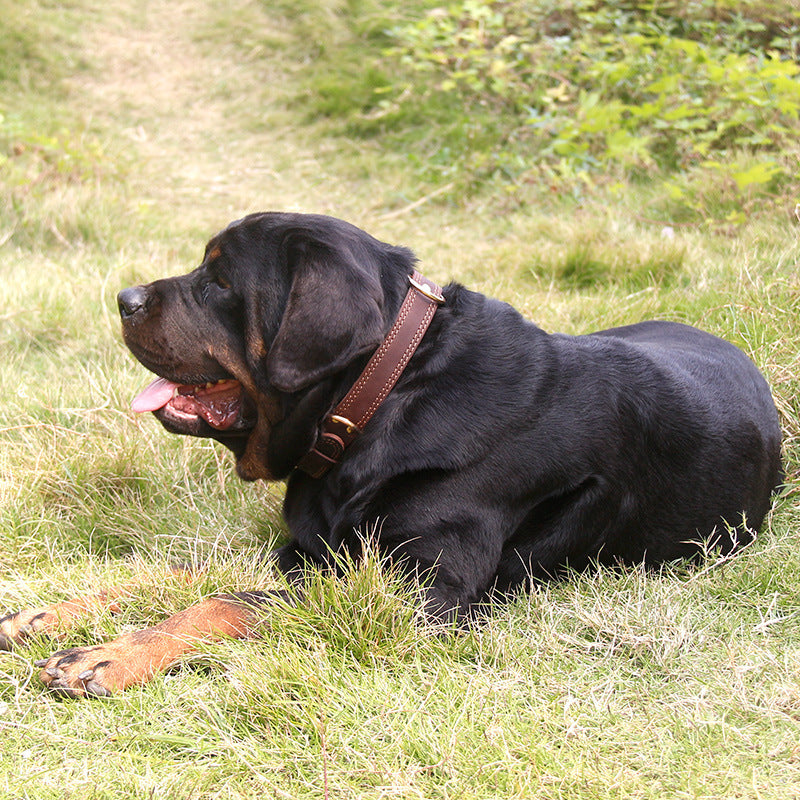 Cowhide leather dog collar with copper hook buckle, product image 2