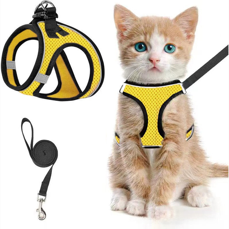 Mesh harnesses for cats and small dogs in eleven colours