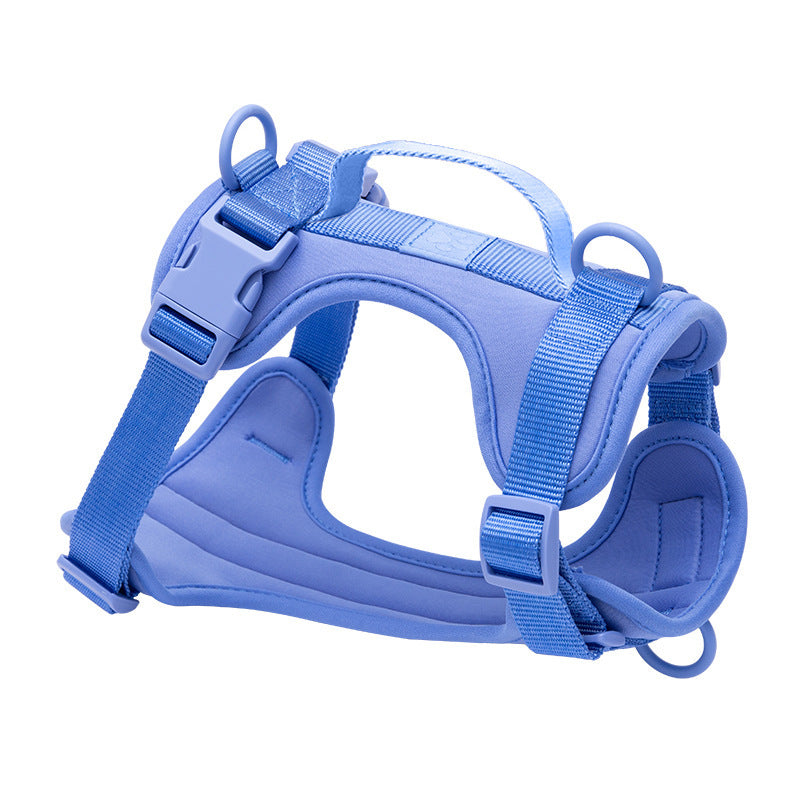 PVC dog harness lead and collar set in bright colours, 4 sizes available