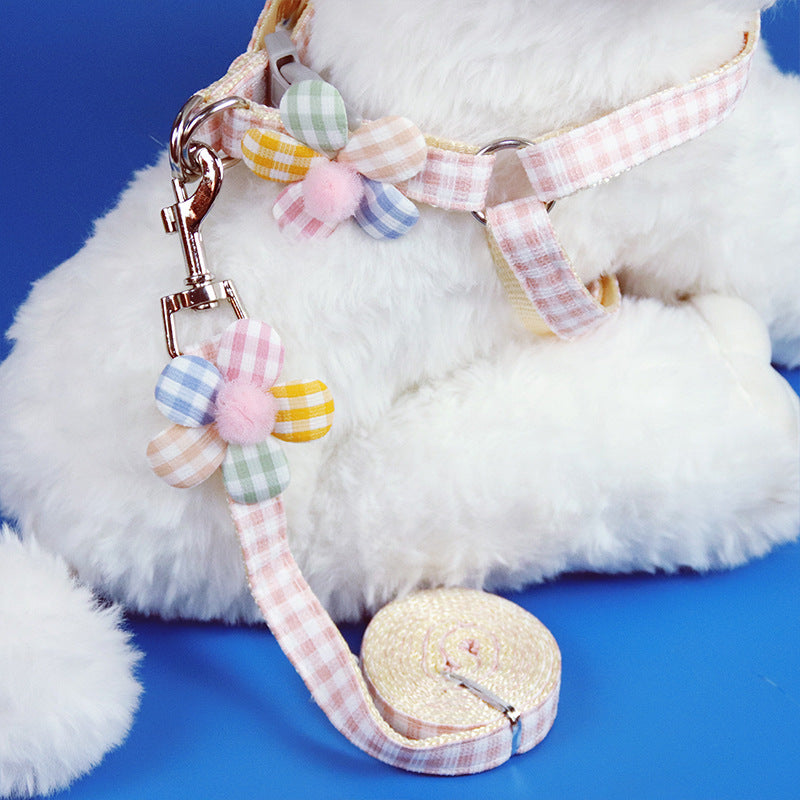 Printed chest harness and lead set for small dogs, ideal for everyday use