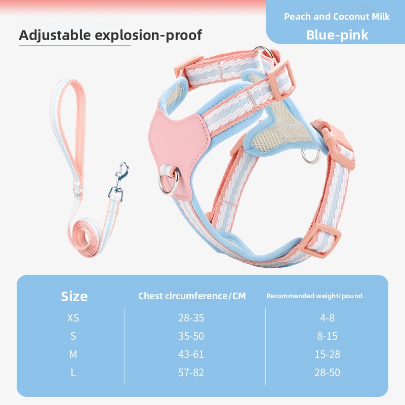 Soft mesh puppy harness with lead, available from Pet Royale UK