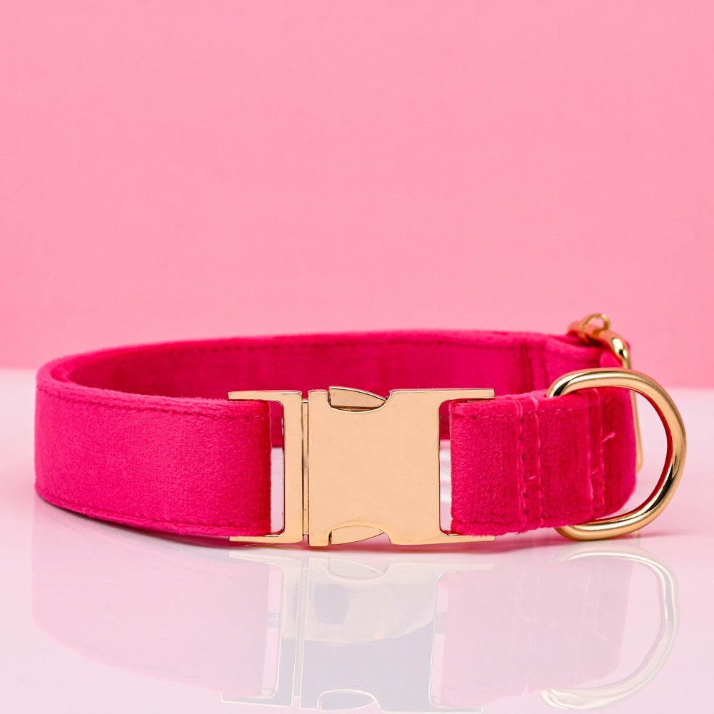 Soft velvet dog collar with metal buckle, ideal for everyday use