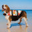 Printed adjustable dog life jacket, available in 14 colours, sizes 2XS to Large, image 3