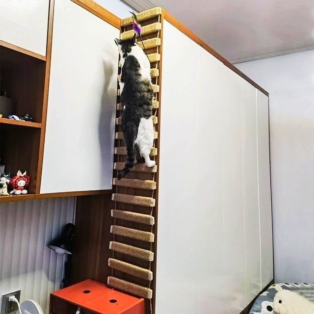 Wooden cat ladder linking shelves and wardrobe tops, additional product photo