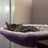 Raised round desk cat bed with grey faux fur on stand, view 4