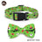 Halloween fabric dog collar with pumpkin print, in a home setting