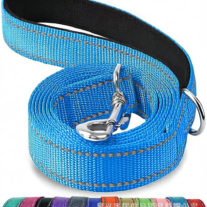 Reflective nylon dog lead with padded handle in blue